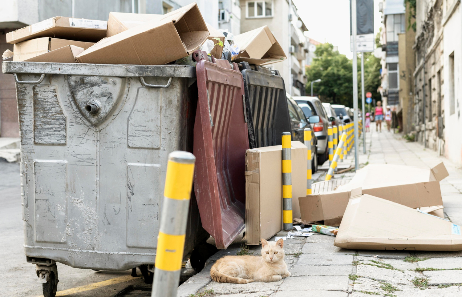 Junk removal services